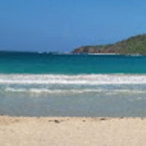 Meet your Posher, Madeline